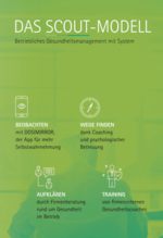 Broschüre zum SCOUT-Angebot